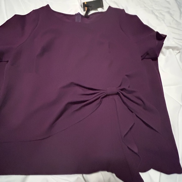 NWT XXL Royalty Purple dress approximately a size 14… - Picture 2 of 8